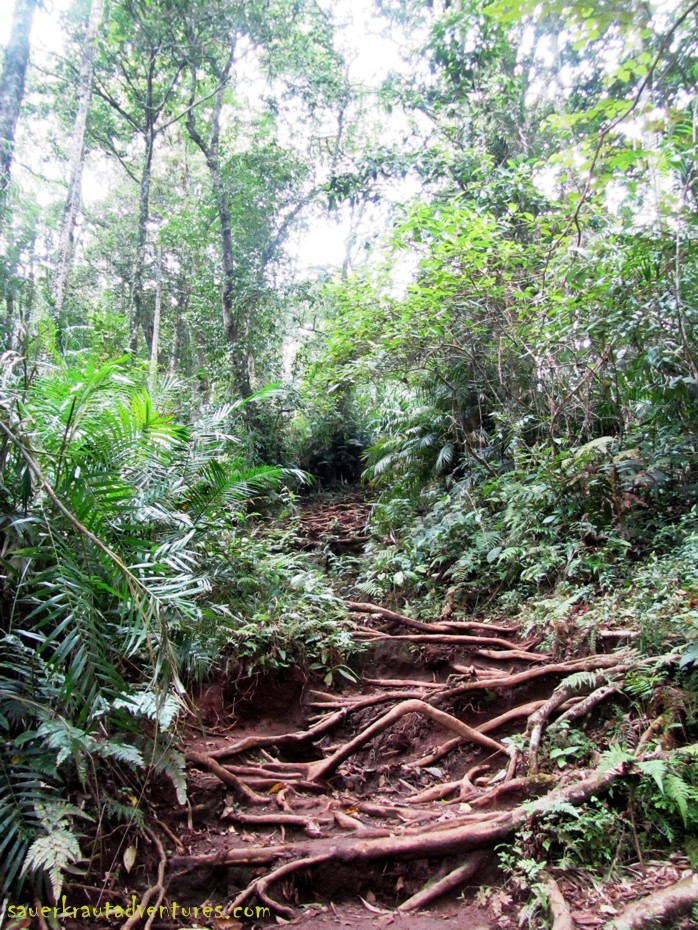 Rinjani trekking